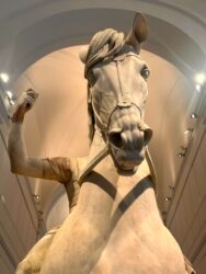 Italy, Naples - Museo Archeologico Nazionale di Napoli