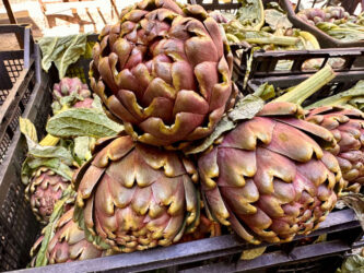 Italy, Naples - Artichokes