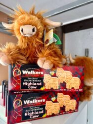 Scotland, Beauly - Robertson's Highland Cows