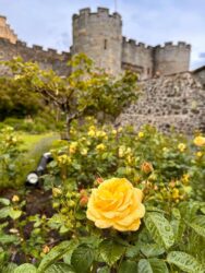Scotland, Stirling - Stirling Castle