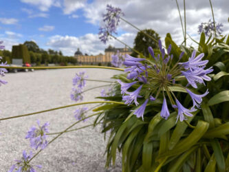 Sweden, Stockholm - Drottningholm Palace
