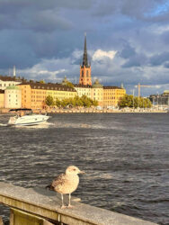 Sweden, Stockholm - View from Stadshuset, City Hall