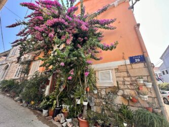 Croatia, Vela Luca - Old Town