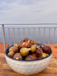 Croatia, Prigradica - Figs