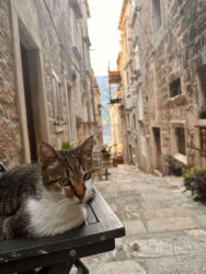 Croatia, Korcula - Old Town