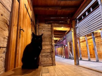 Norway, Bergen - Bryggen in a historic harbour district