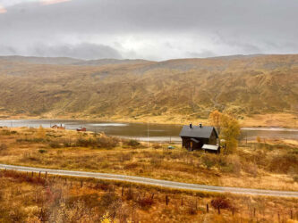 Norway, Bergen to Oslo - On the train