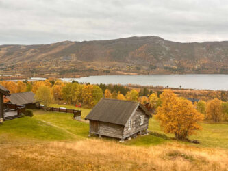 Norway, Bergen to Oslo - On the train