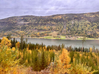 Norway, Bergen to Oslo - On the train