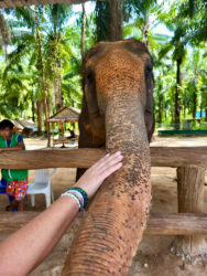 Thailand, Krabi - Krabi Elephant Shelter