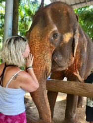 Thailand, Krabi - Krabi Elephant Shelter