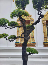 Thailand, Bangkok - Wat Pho