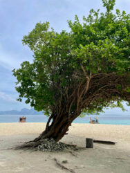 Thailand, Krabi - Poda Island