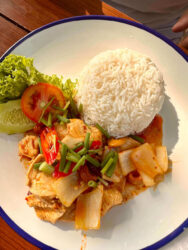 Thailand, Krabi - Chicken