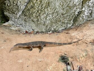 Thailand, Krabi - Pranang Cave