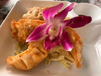 Thailand, Krabi - Chicken Gyoza