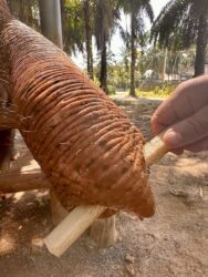 Thailand, Krabi - Krabi Elephant Shelter