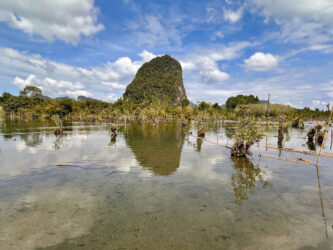 Thailand, Krabi - Nong Thale Mirror Lake