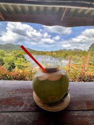 Thailand, Krabi - Coconut