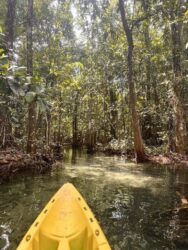 Thailand, Krabi - Nong Thale Mirror Lake