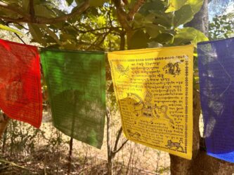 Bhutan, Sopsokha - Chimi Lhakhang, The Fertility Temple