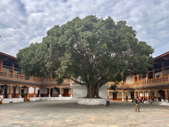 Bhutan, Punakha - Punakha Dzong