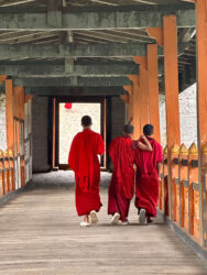 Bhutan, Punakha - Monks at Punakha Dzong