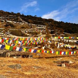 Bhutan, Chelala Pass - Prayer flags