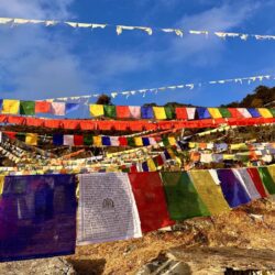 Bhutan, Chelala Pass - Prayer flags
