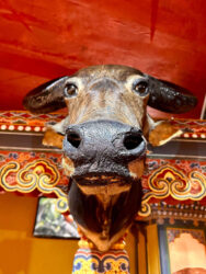 Bhutan, Paro - National Museum of Bhutan