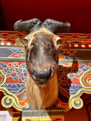 Bhutan, Paro - National Museum of Bhutan