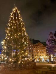 Sweden, Malmö - Christmas decoration