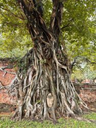 Thailand, Ayutthaya - Wat Mahathat