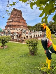 Thailand, Ayutthaya - Wat Thammikarat