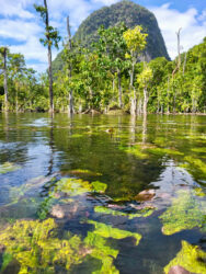 Thailand, Krabi - Nong Thale Mirror Lake