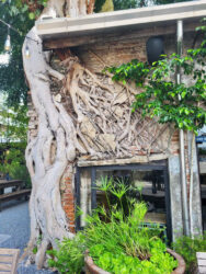Thailand, Bangkok - Hong Sieng Kong cafe