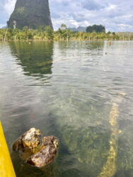 Thailand, Krabi - Nong Thale Mirror Lake