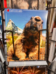 Switzerland, Lucerne - Postcard