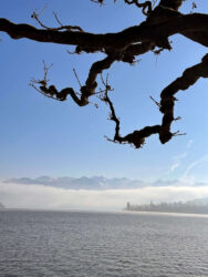 Switzerland, Lucerne - Lake Lucerne