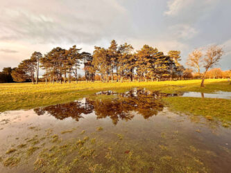 Ireland, Dublin - Phoenix Park