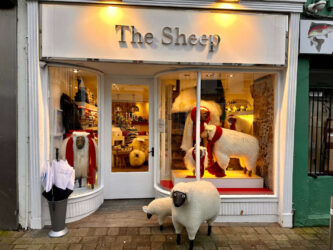 Ireland, Galway - The Sheep