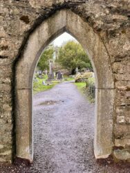 Ireland, Ring of Kerry - Muckross Abbey