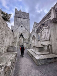 Ireland, Ring of Kerry - Muckross Abbey