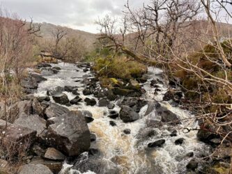 Ireland, Ring of Kerry - The view