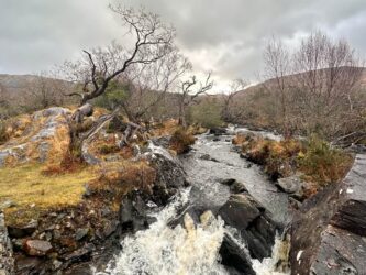 Ireland, Ring of Kerry - The view