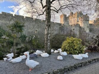 Ireland, Cahir - Cahir Castle