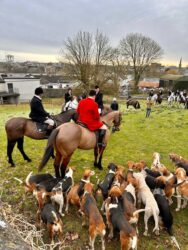 Ireland, Cashel - Tipperary Foxhounds