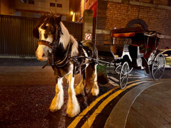 Ireland, Dublin - Horse carriage