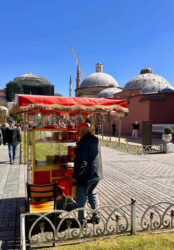 Türkiye, Istanbul - Haga Sophia
