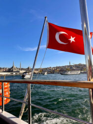 Türkiye, Istanbul - Bosphorus cruise